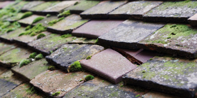 Botolph Claydon roof repair costs